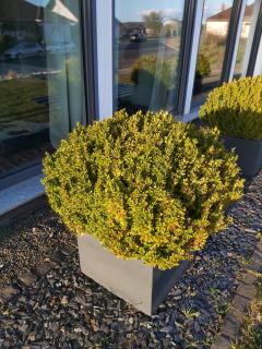 Ferienwohnung Auszeit Im Haag - 7