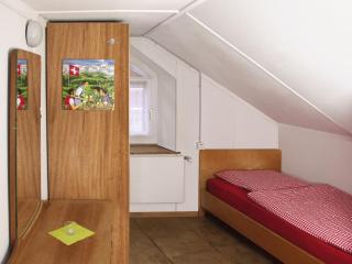 Boardercamp Laax - swiss mountain hostel - Ruschein - 1