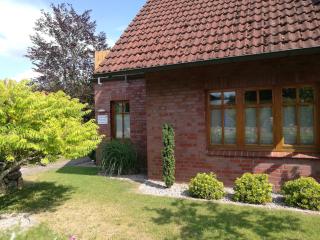 Ferienwohnung an der Elbe - Tespe - 8