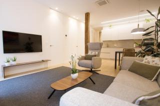 ATSEGIN apartment climatización -Opción a parking- - Saint-Sébastien - 6