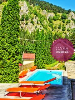 Casa Domneasca - Baia de Fier - 0