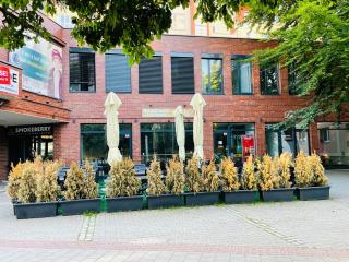 ZAROHEM 2 bedrooms APARTMENT in center with balcony - Brno - 4