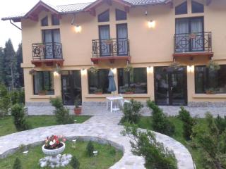 Hotel MEITNER - Predeal - 2