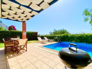Villa Barbati Thalassaki with private pool by DadoVillas - Barbati - 3