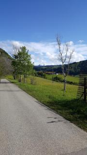 Fewo FRIADO im Ferienpark OA - ohne Zusatzkosten nach Anreise - mit Hallenbad, W-Lan, PKW-Garage, Kurtaxe mit Allgäu-Walser-Pass, Bett- und Handtuch-Wäsche sowie End-Reinigung - Missen-Wilhams - 4