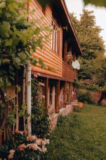 Teo Guesthouse and Camping in Mestia - 0