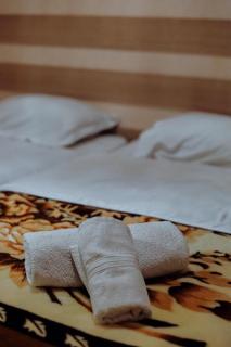 Teo Guesthouse and Camping in Mestia - Mestia - 2