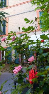 Appartamenti Arena - 4