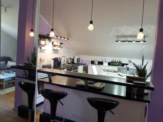 Apartman Atelier - Karlovac - 7
