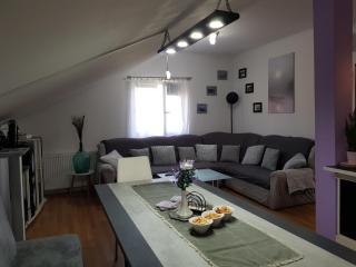 Apartman Atelier - Karlovac - 2