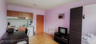 Predela 1 - Studio 10 near Bansko Ski Lift - Bansko - 7