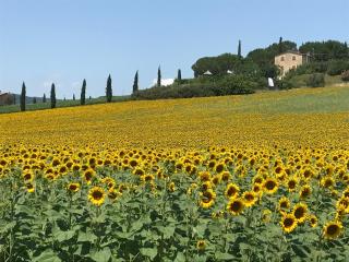 Il vecchio seccatoio - 5