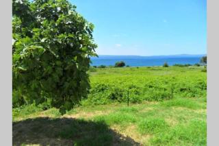 Summerhouse Calypso - 6