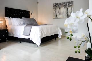 Augusta Palms - Centurion - 5