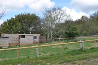 Cosy and rural Lodge at Goldhill Glamping - Shaftesbury - 6