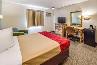 Econo Lodge, Downtown Custer Near Custer State Park and Mt Rushmore - Custer - 4