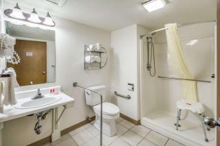 Econo Lodge, Downtown Custer Near Custer State Park and Mt Rushmore - Custer - 3
