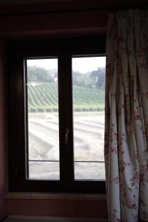 Agriturismo La Fonte di San Girio - Potenza Picena - 6