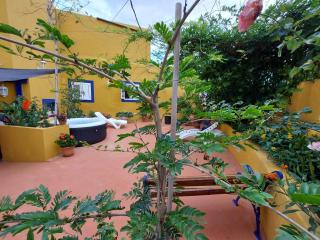 CASA MAESTRO LELO – ACOGEDORA CASA RURAL CANARIA CON PATIOS Y JARDINES DE FLORES - Las Palmas - 9