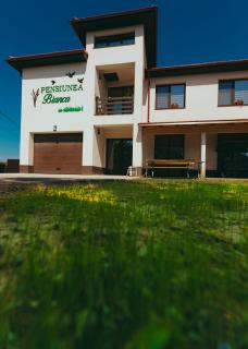 Pensiunea Bianca - Salcioara - 2