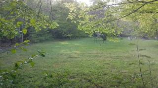 Lovely 2-Bed shepherds hut in a Forest - Sougères-en-Puisaye - 6