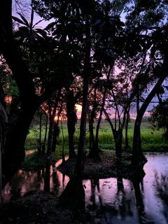 Boatique Hotel and Marina - Rio Dulce - 5