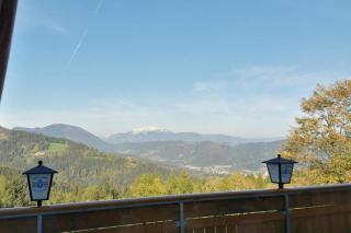 Familiengasthof Pension Ödenhof - Sankt Corona am Wechsel - 7
