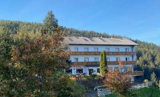 Familiengasthof Pension Ödenhof - Sankt Corona am Wechsel - 4