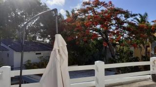 Room #23 at Waterfront Playa Alicia - 9