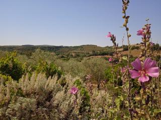 B&B PIBITZOI - Nurallào - 8