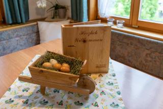 Ferienbauernhof Oberhauser - Schoppernau - 4