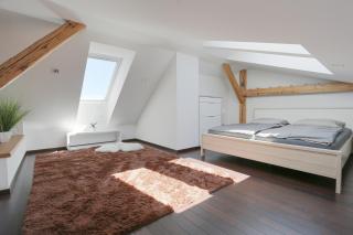 Loft Apartmán Šumava - Sušice - 4