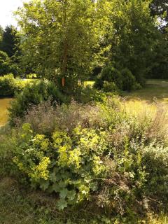 Wohnungen- Christopherhof MJ,Grafenwiesen - Grafenwiesen - 9