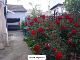 Apartament la curte Oana - Mangalia - 1