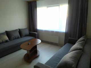 Inzenieru 95 Apartments . - 9