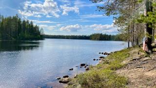 Lapiosalmi Wilderness Center - Posio - 4
