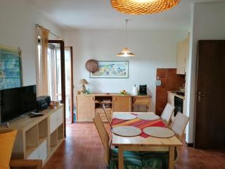 Sun house Vittoria - Sabaudia - 4