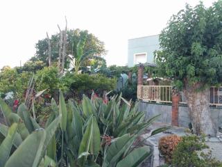 Casa Baleso - Deltebre - 8