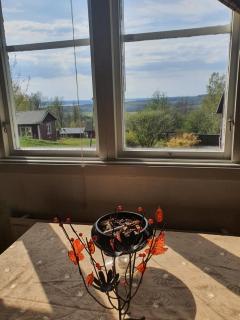 Utsikt mot viken - 8