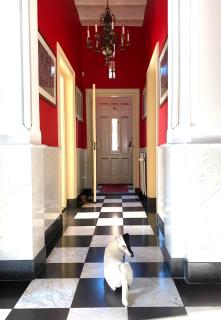 Oude Postkantoor de Rijp - 7