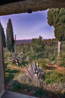 Castellina di Bocco - 7