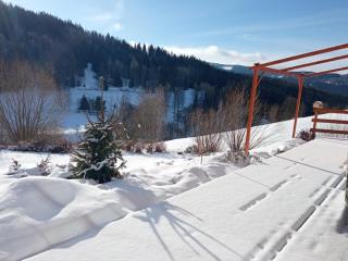 Apartment Brusinka - Kašperské Hory - 7