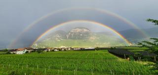 Ferienwohnung Eichnerhof - 7