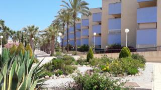 Cabo Roig del Sol - Playas de Orihuela - 5