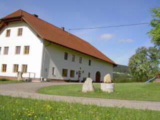 Urlaub am Bauernhof Wenigeder - Familie Klopf - Gutau - 7