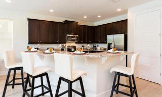 Stylish 5 Bdrm Home with Themed Bedroom at Reunion - Kissimmee - 1