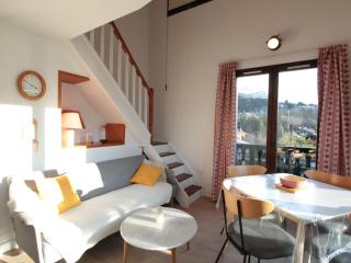 Duplex 2P/4 avec Balcon, WIFI et Parking Les Carroz - FR-1-572-15 - Les Carroz d'Araches - 0