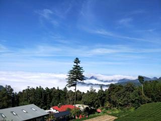 Long Yun Leisure Farm - 4