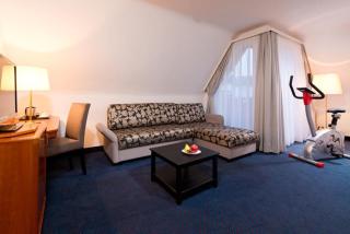 ACHAT Hotel Neustadt an der Weinstraße - Neustadt an der Weinstraße - 2