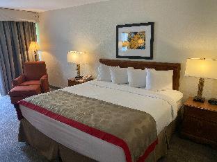 Ramada by Wyndham Albuquerque Midtown - 5
